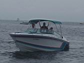 2011 Horn Island (59).JPG